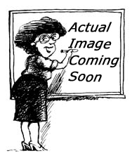 Photo of Instructor Joni White